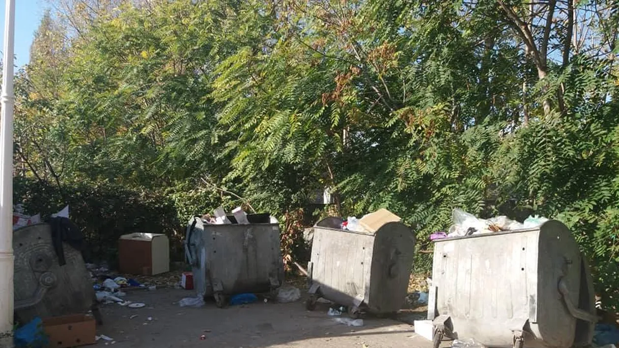 Este invazie de șobolani într-un cartier din Craiova. Directorul unui liceu a adus un câine să prindă rozătoarele