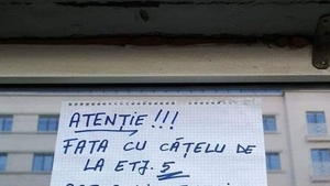 Anunțul de la avizierul unui bloc din București face ravagii pe internet. Ce a putut să scrie un locatar depășește orice imaginație