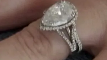 VIDEO Un motan a furat un diamant de 40.000 de dolari pe care l-a aruncat in toaleta