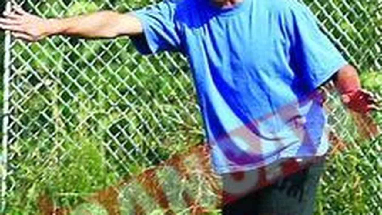 Trombetta a inceput sa dea amenzi la Cluj