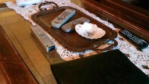 Iluzie optică virală | În această fotografie s-a ascuns o pisică. Găsiți-o în cel mult 7 secunde!