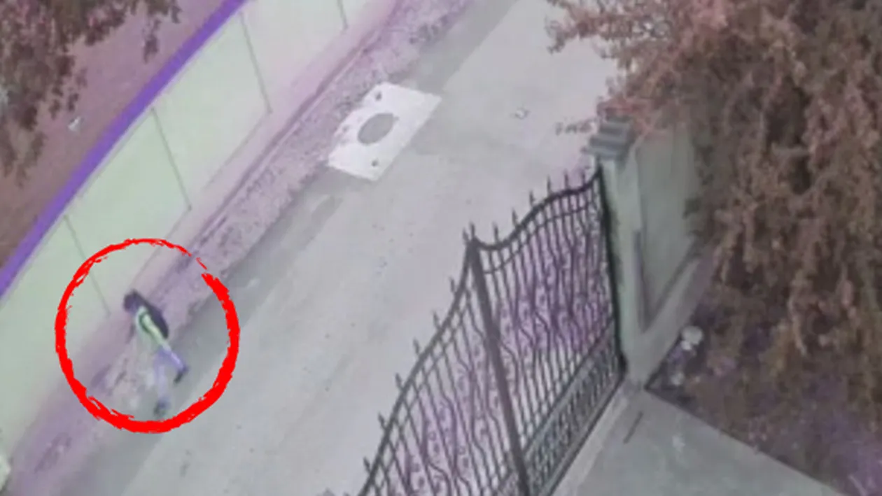 Uluitor! Chiar pedofilul olandez i-a condus pe polițiști la locul crimei! Ucigașul a fost de acord să...