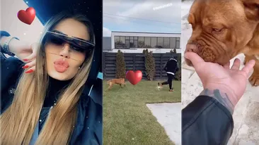 Daria Radionova și Alex Bodi, fericiți în Ajun de Crăciun! Cum s-au filmat cei doi iubiți în curtea vilei din Tunari și cum au împodobit locuința luxoasă | FOTO & VIDEO