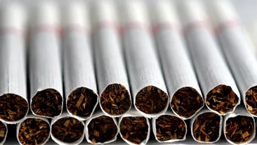 Metoda incredibilă prin care se face trafic de tutun în România