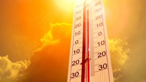 România, lovită de caniculă! ANM a emis o avertizare imediată