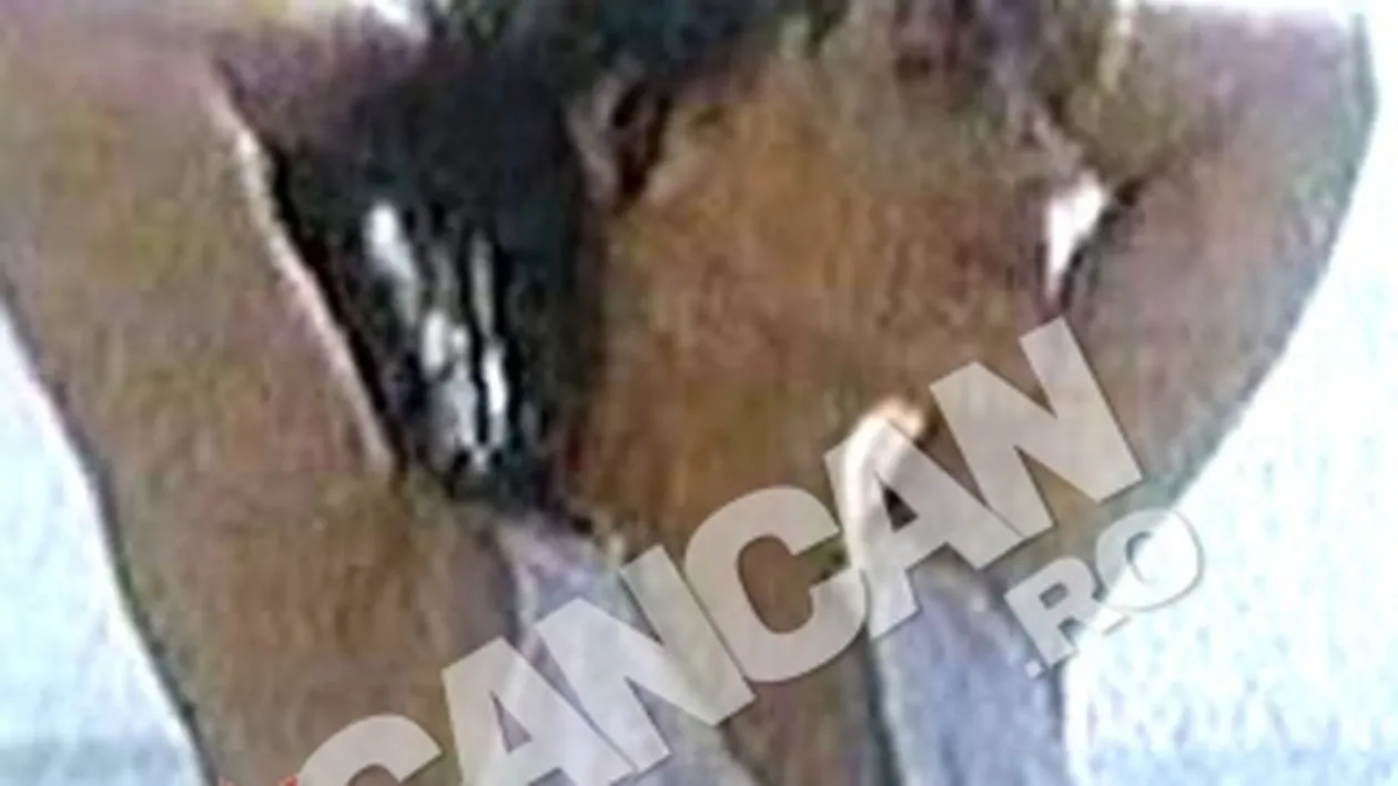 Buna seara, iubito, te astept ca si cand...! La ora 22.00, la Acasa TV!