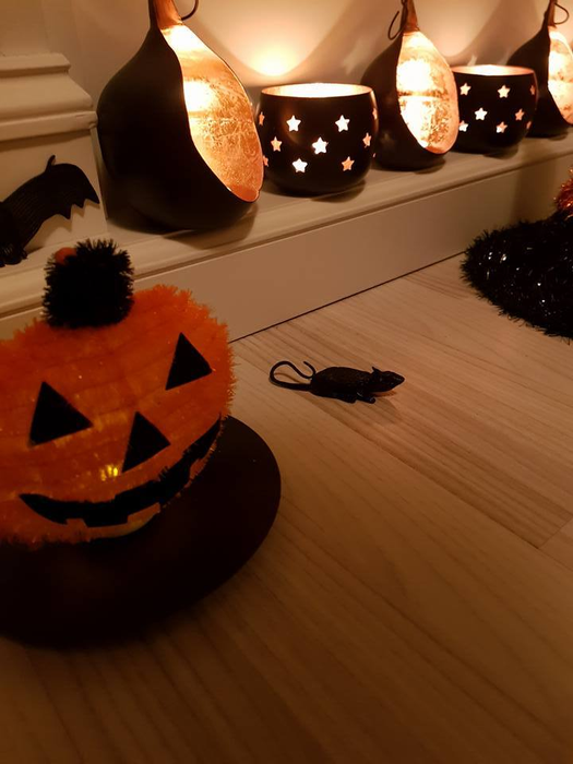 Cum şi-a decorat Minodora casa de Halloween! Imagini de vis