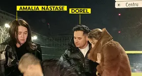 Galerie foto - poza 4