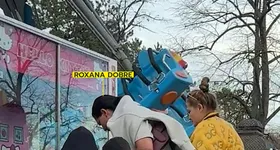 Galerie foto - poza 2