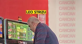 Galerie foto - poza 3