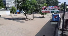 Galerie foto - poza 3