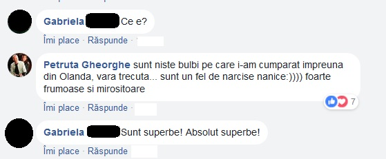 Fosta soție a lui Andrei Gheorghe, gest emoționant în memoria jurnalistului: „Ne gândim că ți-ar plăcea și ție”