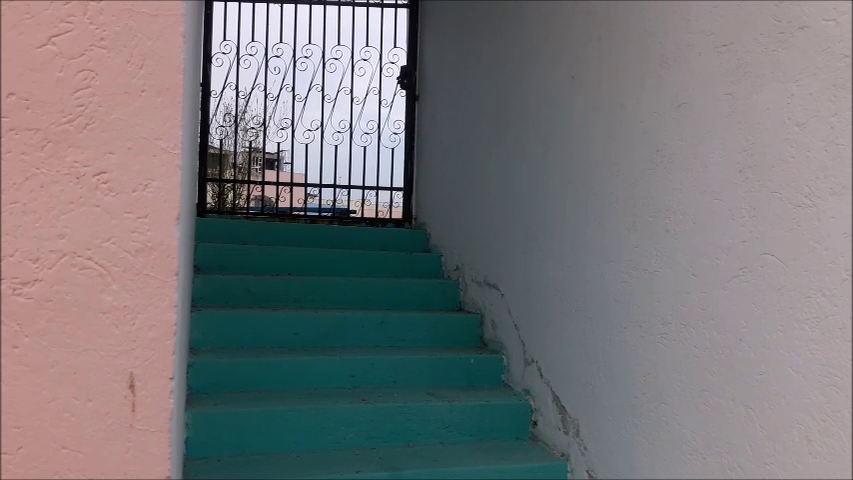 Intrarea în Teatrul de vară este plină de peturi