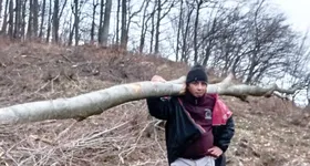 Galerie foto - poza 1