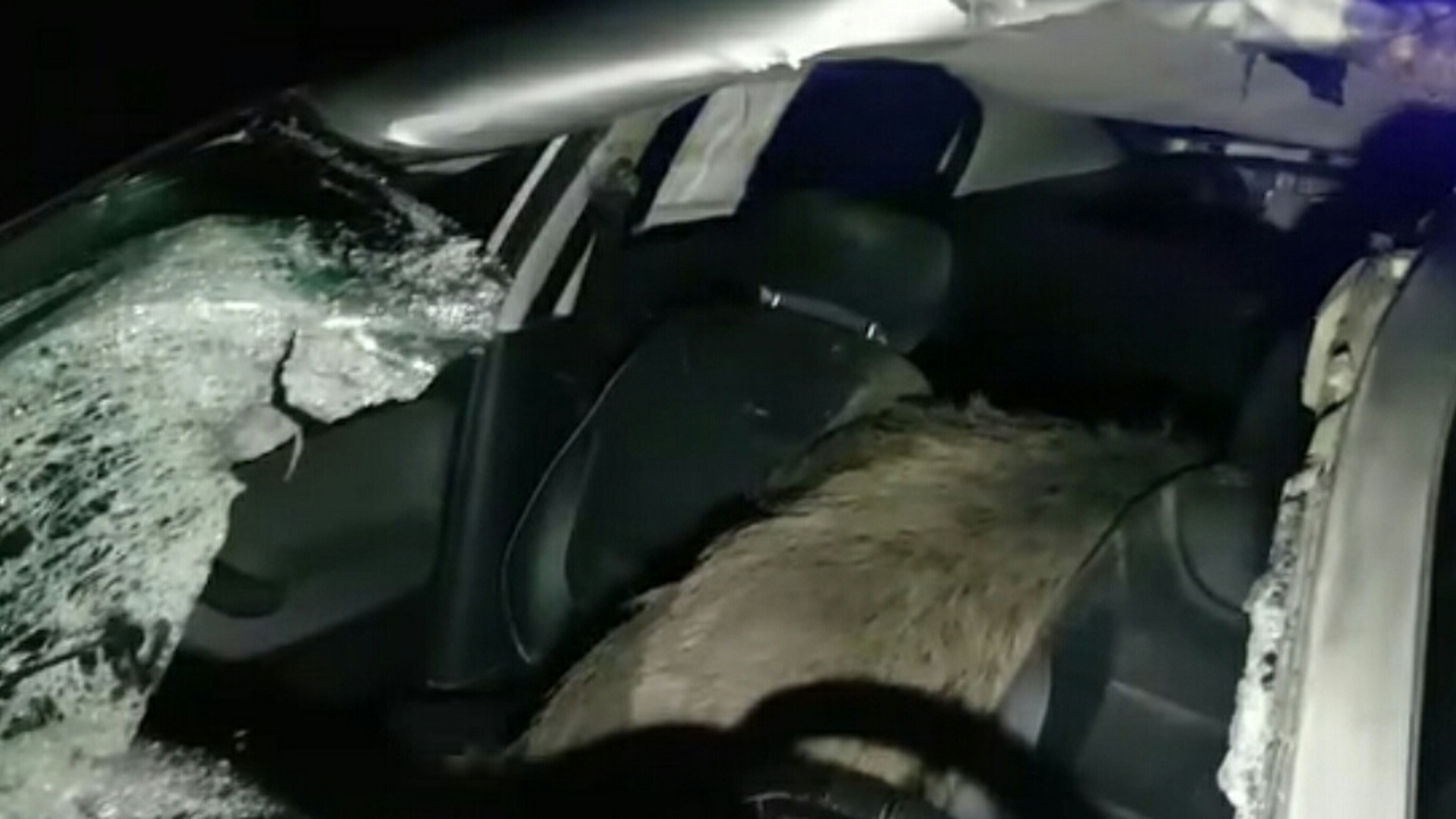 Grav accident în Dâmbovița. În urma impactului, un șofer s-a trezit cu un mistreț peste el