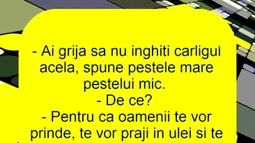 BANCUL ZILEI | Ce vorbesc peștii între ei, de fapt