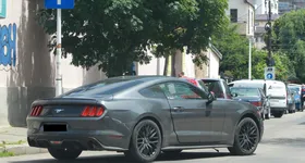 Galerie foto - poza 1