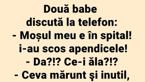 BANCUL ZILEI | Discuție la telefon între două pensionare