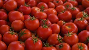 Anomalia întâlnită de cumpărători. Roșiile, mai scumpe decât carnea de miel