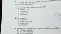 Bacalaureat 2022 | Rezolvarea subiectelor la biologie, a treia probă de la BAC