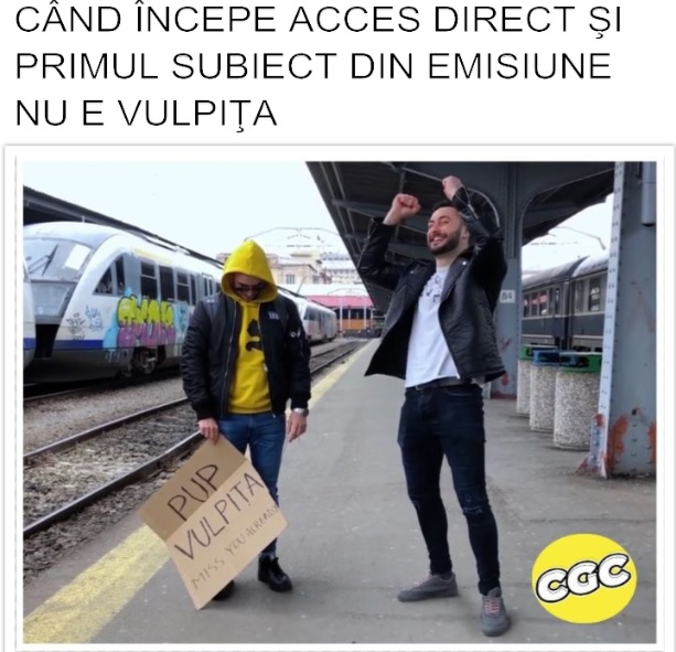 TOP cele mai bune glume cu Vulpița și Viorel! Soții Stegaru – cele mai celebre personaje de pe Internet