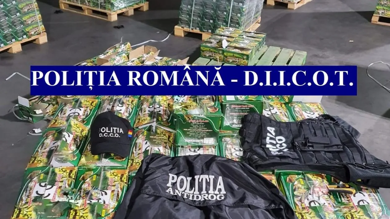 Record! Droguri în valoare de 60.000.000 de euro confiscate de Poliția Română, într-o amplă operațiune Antidrog