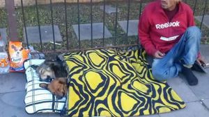 Impresionant. Cerşetorul care a uimit o lume întreagă! Pe cine are alături la “locul de muncă”