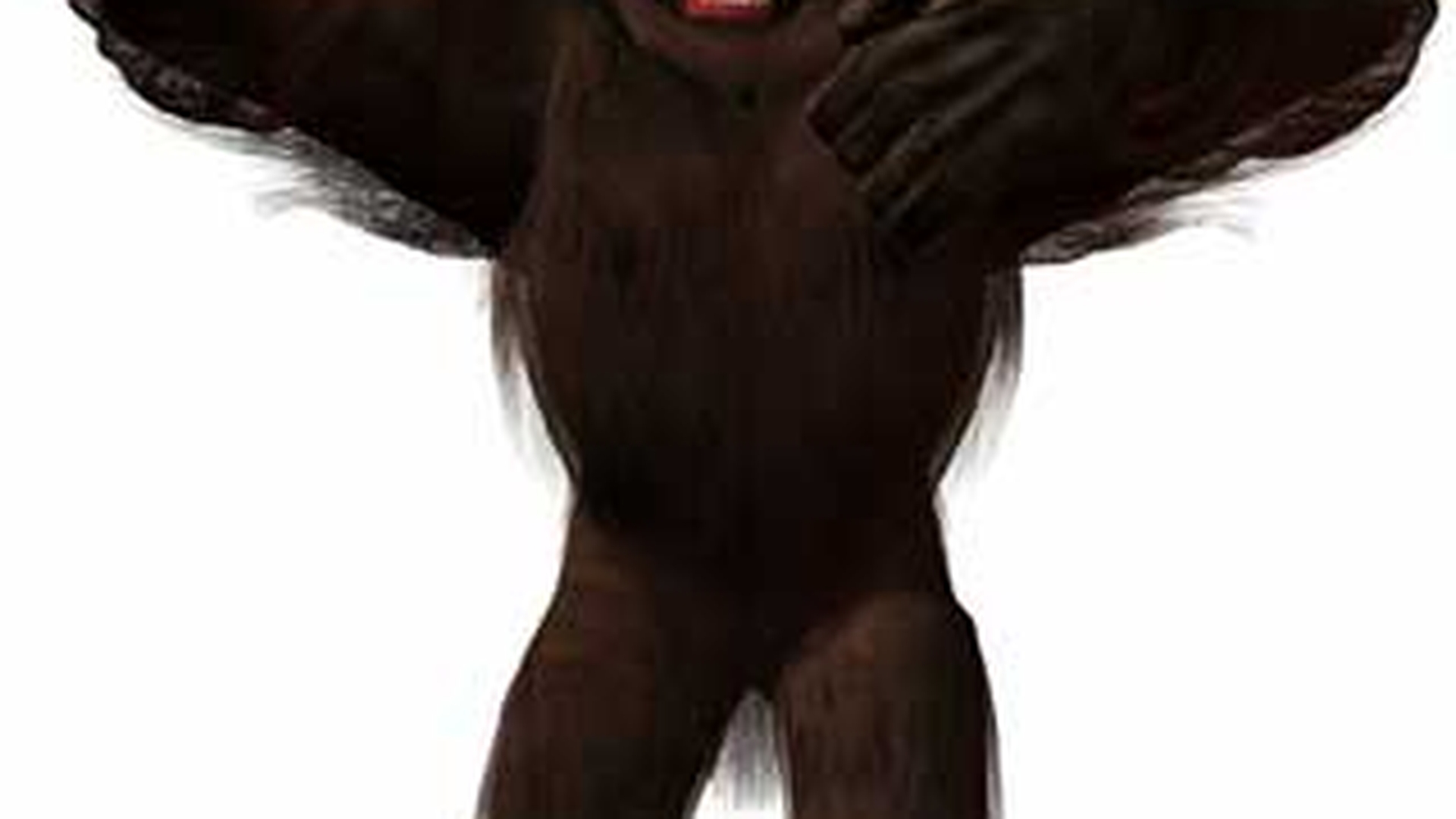 L-au vazut pe Bigfoot intr-un copac