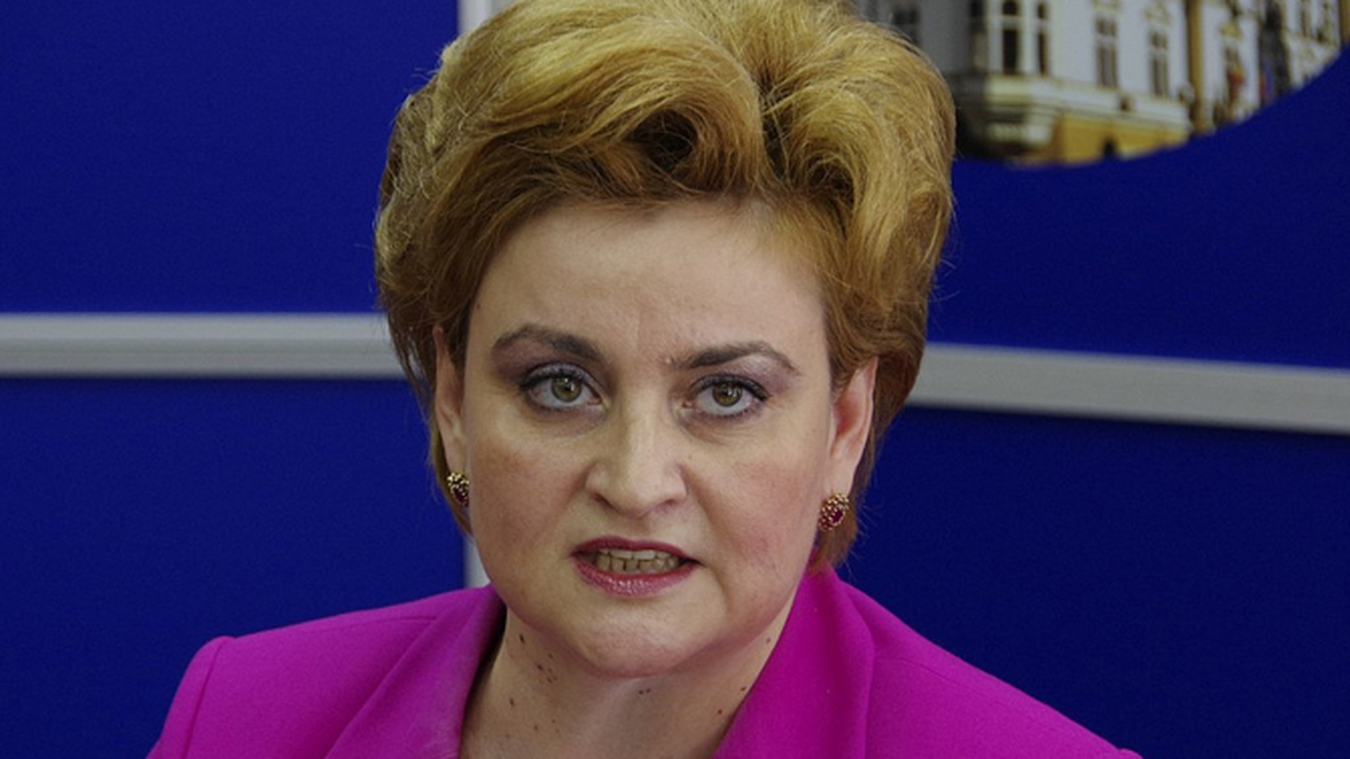 Leocadia avea, în 2007, 38 de milioane de euro în conturi, acum crede că  „am luat conceptul anticorupţie şi l-am transformat în repercutarea  dezvoltării!”