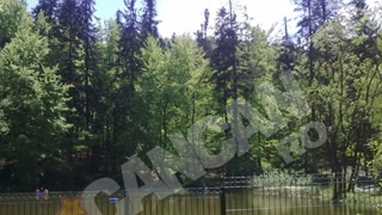 Pesti exotici de la Zoo Brasov, tinta hotilor