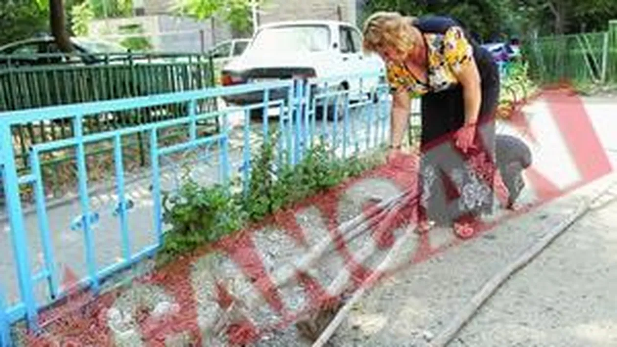 Parculet devastat din cauza indiferentei autoritatilor