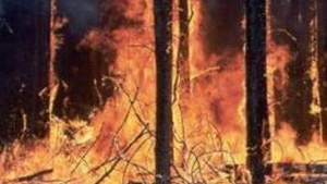 Sudul Frantei, afectat de incendii de vegetatie!