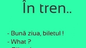 Bancul de weekend | În tren: "Bună ziua, biletul!"