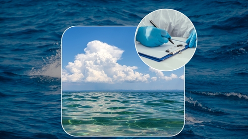 Briza mării, mai mult decât relaxare? Ce au găsit cercetătorii în aerosolii marini