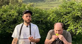 Galerie foto - poza 4