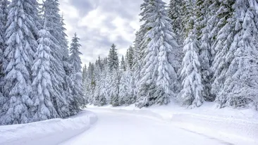 Cod galben de ger în România! Zonele în care ciclonul aduce ninsori, viscol și temperaturi de -20 de grade Celsius de azi