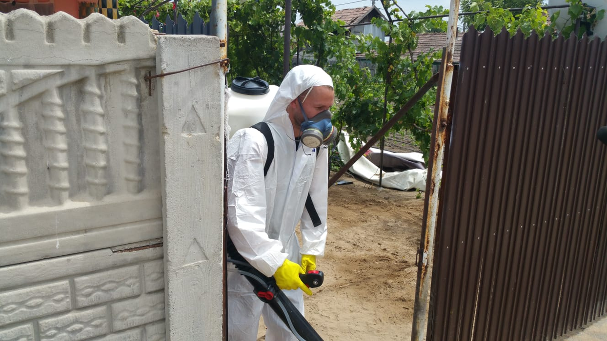 Echipele de intervenție au venit încă de dimineață la Teasc