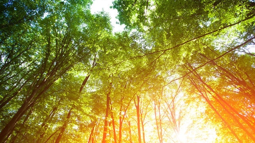 METEO 14 SEPTEMBRIE. Vremea se menţine caldă pentru această perioadă