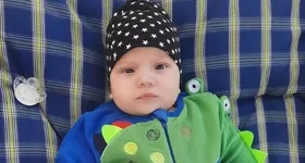 Galerie foto - poza 2