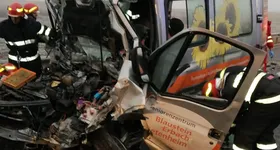 Galerie foto - poza 3