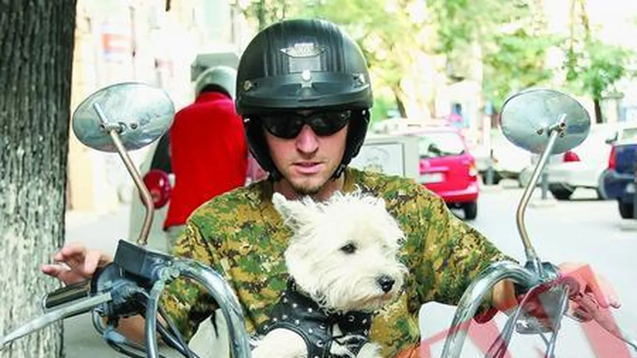 Emma, catelusa pasionata de motoare