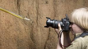 Fiul lui Steve Irwin are acum 13 ani şi e un celebru fotograf