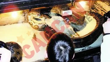 Inspaimantati de pitonul care inghite gaina