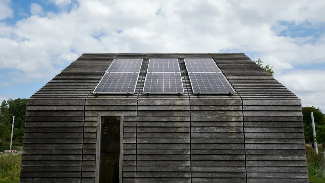 Descoperire incredibilă în energie. Lemnul care generează curent și noaptea ar putea rescrie viitorul