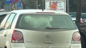Il mai tii minte pe fostul coleg de trupa al Deliei? Vezi cum reactioneaza cand e prins in ambuscada de un grup de Craciunite!