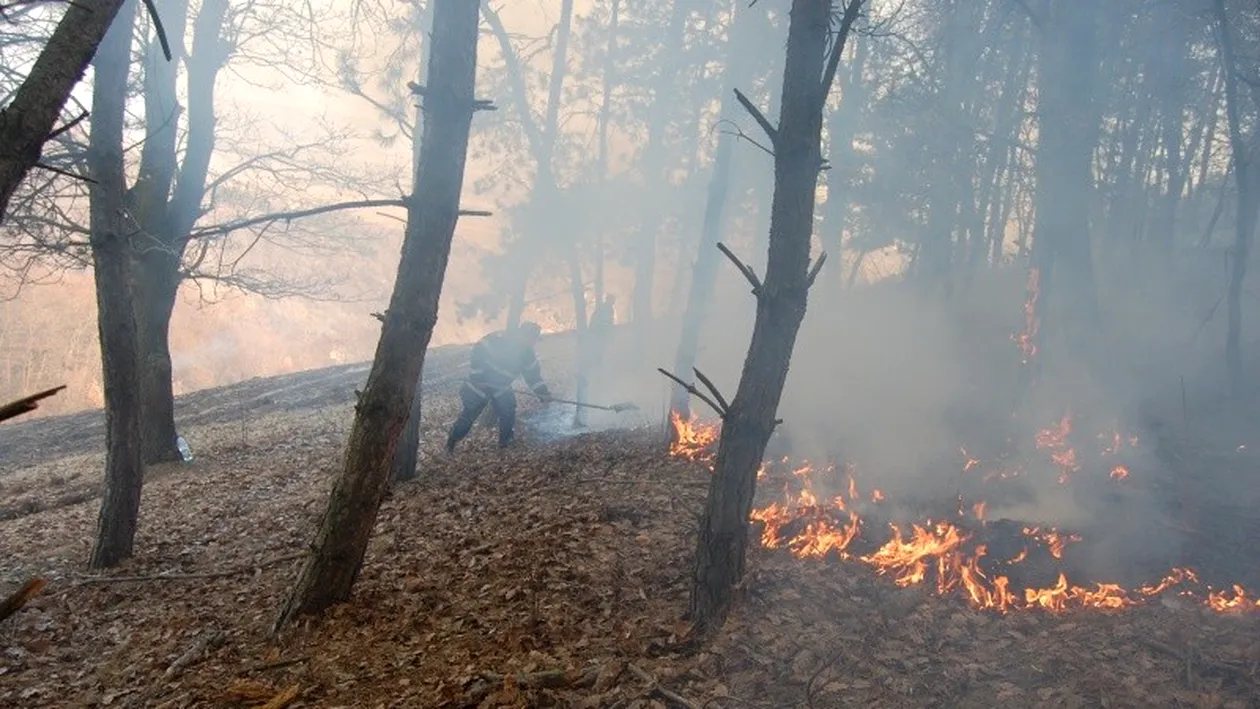 A luat foc o pădure din Buzău: ”Intervenția este dificilă, condiții meteo nefavorabile”