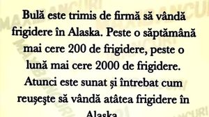 BANC | Bulă este trimis de firmă să vândă frigidere în Alaska
