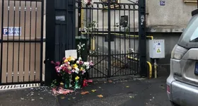 Galerie foto - poza 4