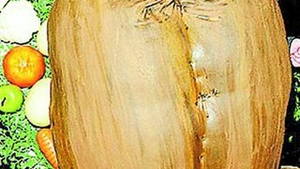 Bebelusa lui Tori Spelling, delicioasa!