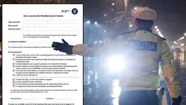 Acesta este cel mai nou model al declarației pe propria răspundere. Detaliul din cauză căruia mulți români iau amendă